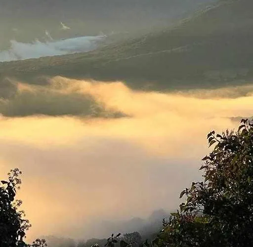 Rural El Pastor Es Un Estudio Con Gran * Cabezas Bajas
